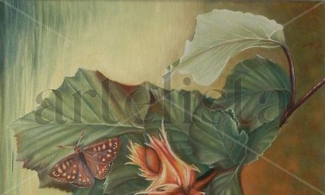 naturaleza