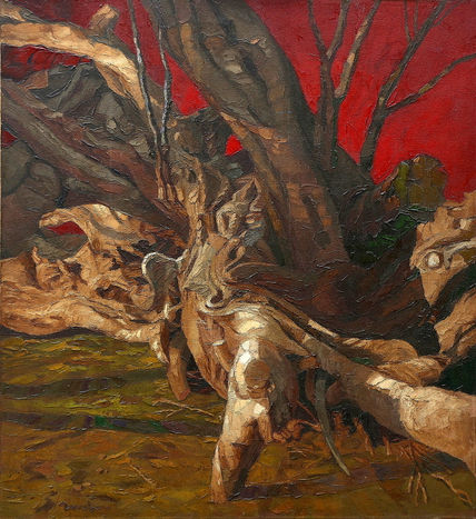Huarango milenario