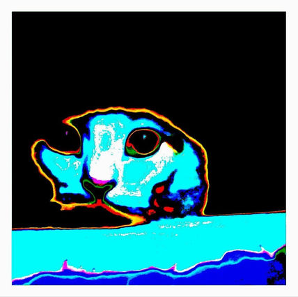 La playa