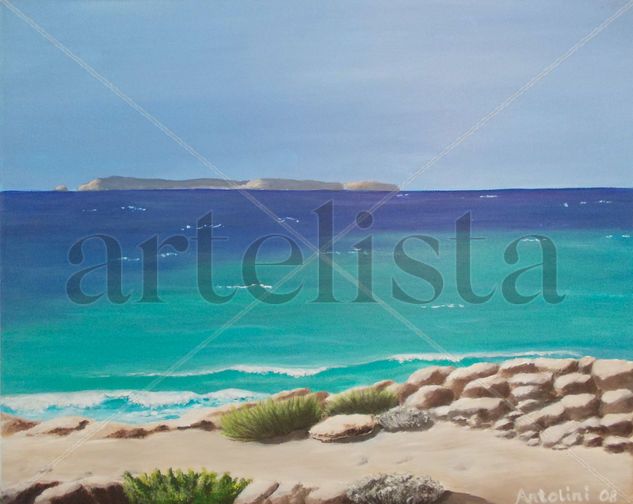 Cabrera view from Cap de Ses Salines Acrylic Canvas Marine Painting