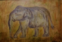 Elefante