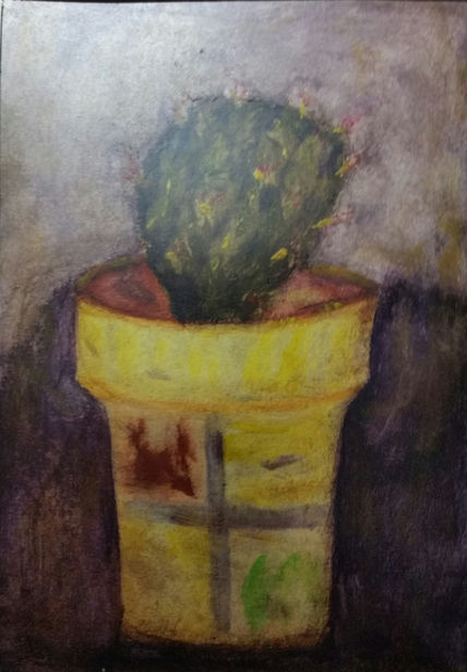 Cactus