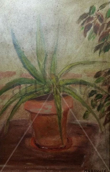 Maceta con Aloe