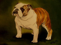 Retrato Bulldog