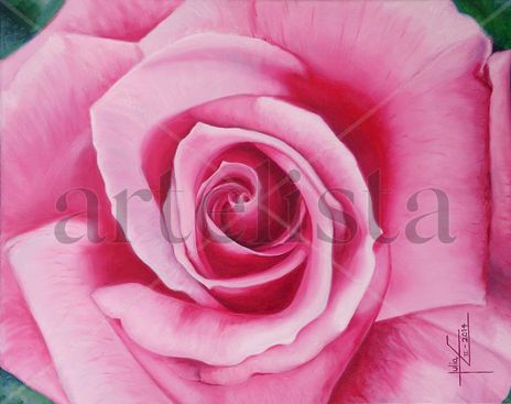 Rosa