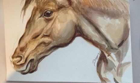 Estudio de caballo