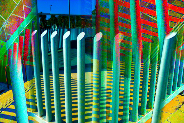 REFLEJOS