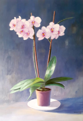 Orquídea