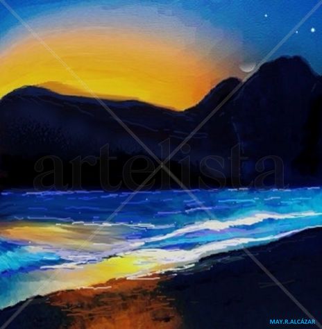 Marina de noche