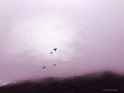 Pájaros 2
