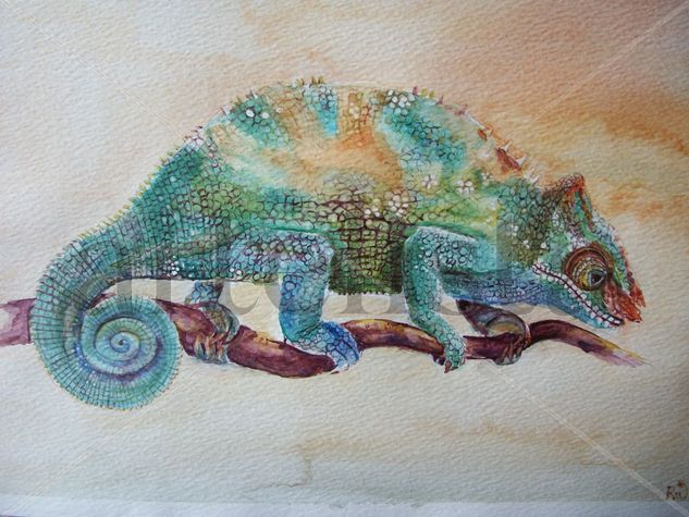 Chameleon Acuarela Papel Animales