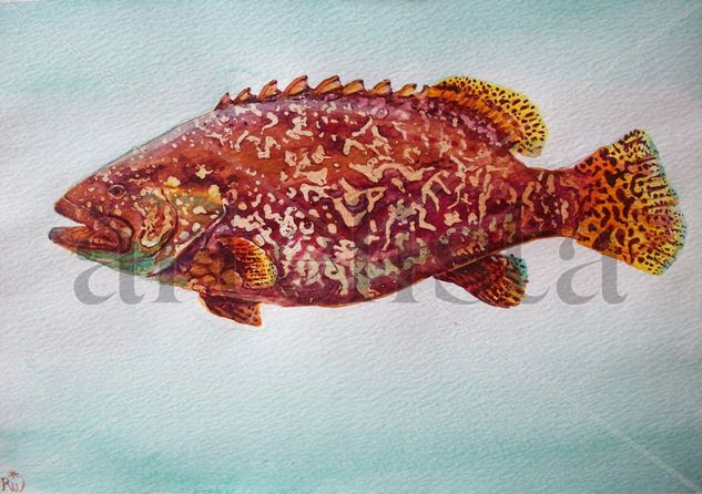 Fish. Grouper fish Watercolour Paper Animals