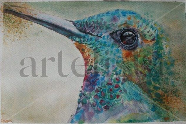 Hummingbird Bird Watercolour Paper Animals