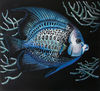 Fishes, Angelfish