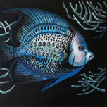 fishes thumbnail 1