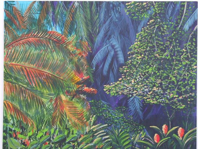 AMANECE EN LA SELVA