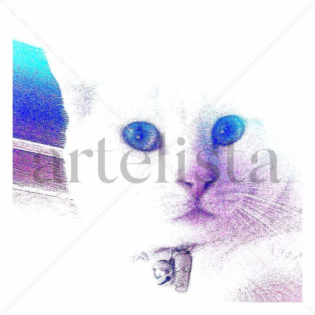 GATITO COLOR