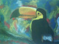 Tucan