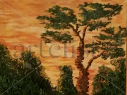 Atardecer en la Sabana Oil Canvas Landscaping