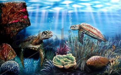 Tortugas