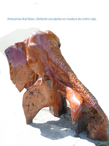 Elefante