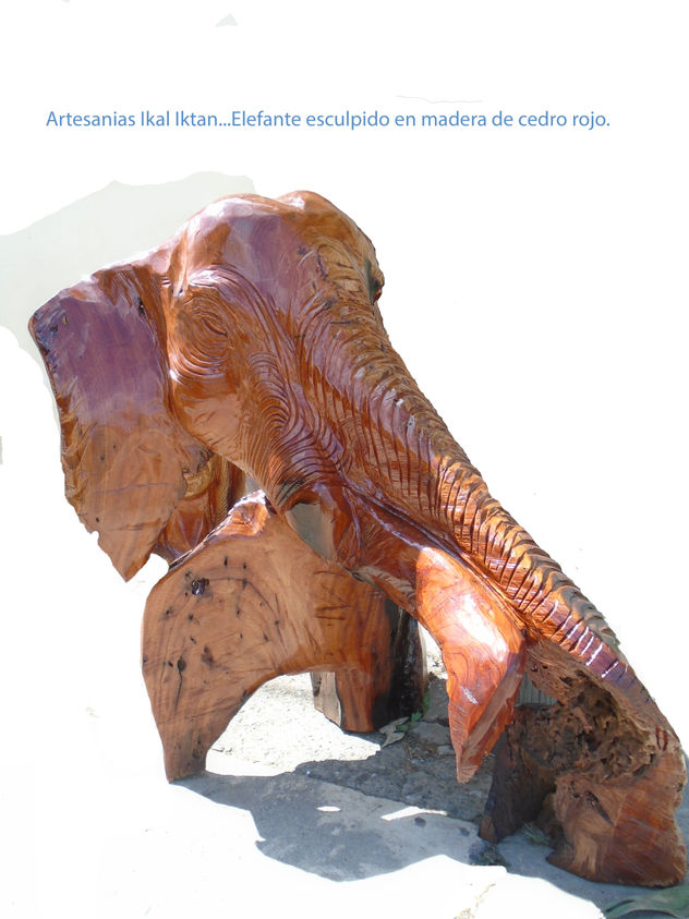 elefante