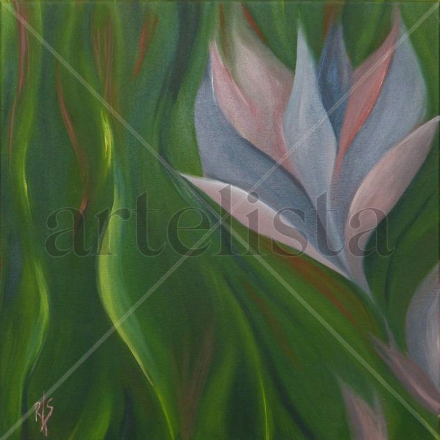 Flor de Loto