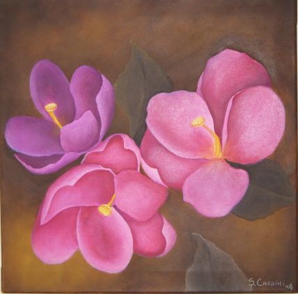 Magnolias