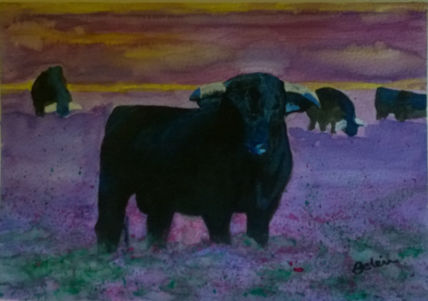 Toro en el campo