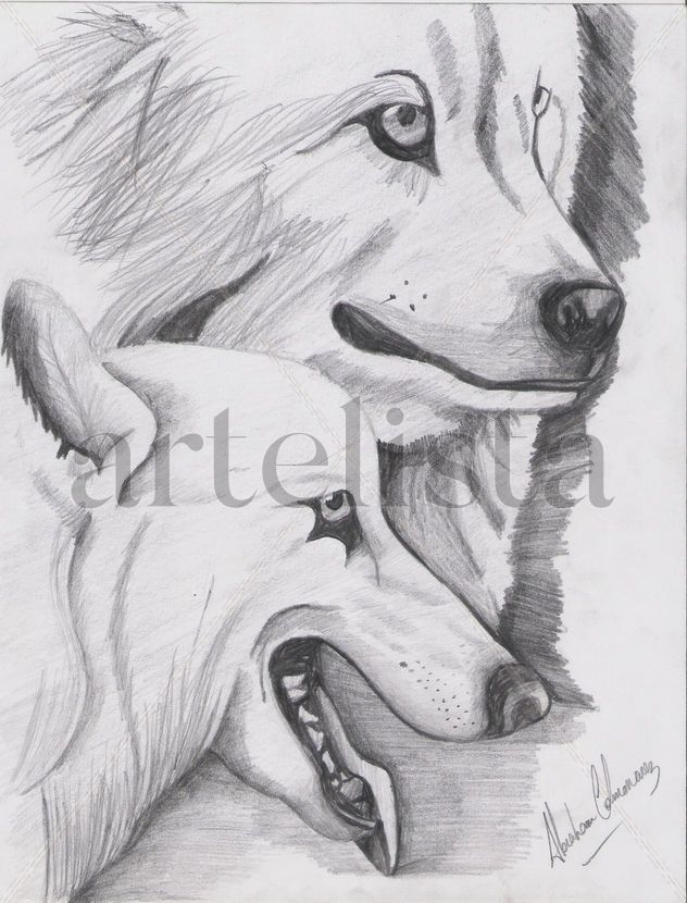 lobos