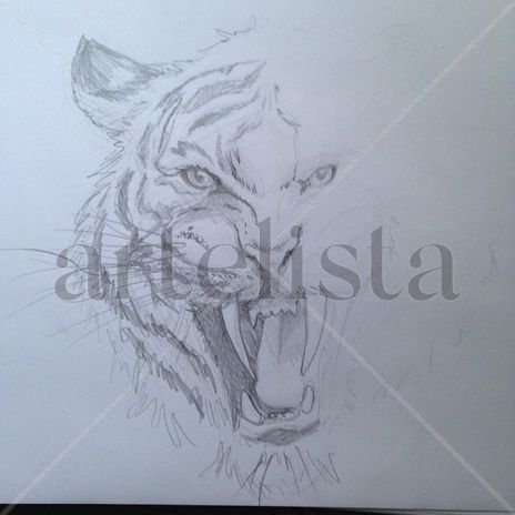 Tigre