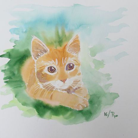 Gatito