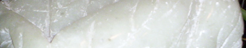 Imagen de portada