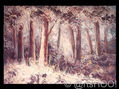 Selva Forestal