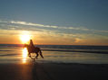 Caballo al atardecer