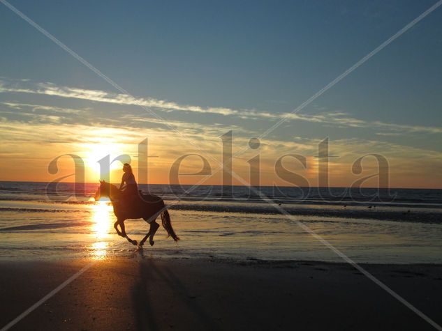 Caballo al atardecer Naturaleza Color (Digital)