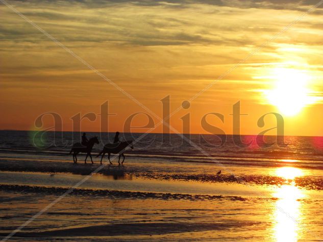 caballos en el atardecer Naturaleza Color (Digital)