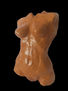 SONDRAGION TORSO DE MUJER