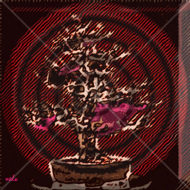 my bonsai