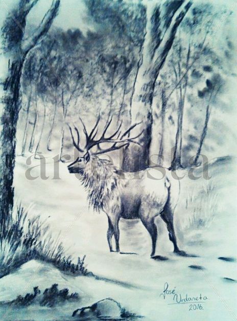 Alce en Nieve