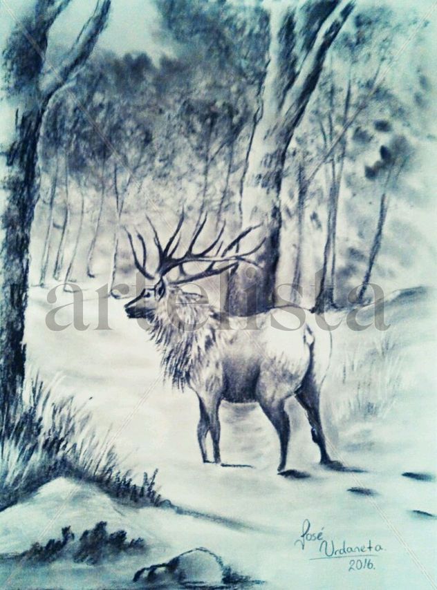 Alce en Nieve