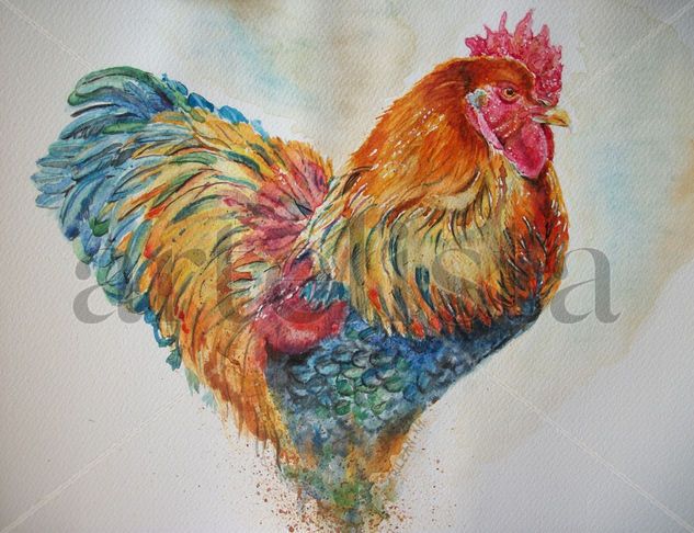 Cock Acuarela Papel Animales