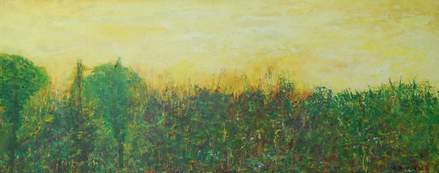 Pradera al atardecer