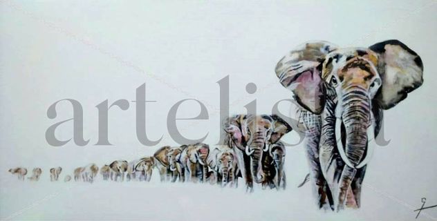 Elefants en fila