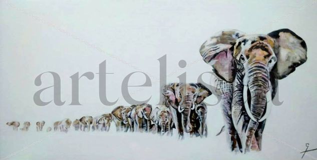 Elefants en fila Acrylic Canvas Animals