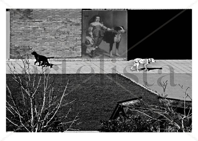 3 perros Other Themes Black and White (Digital)