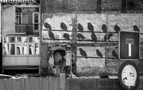 Birds wall