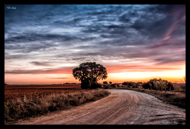 Caminos Naturaleza Color (Digital)