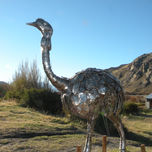 Animales autoctonos patagonicos thumbnail 1