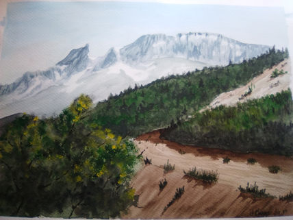 Picos de Europa...